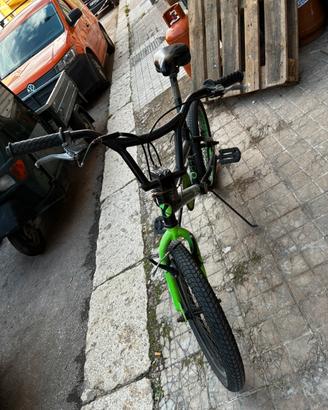 Bici BMX