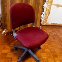 Sedia ufficio/studio Piretti Collection