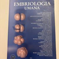 Embriologia Umana, Idelson-Gnocchi