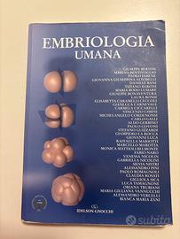 Embriologia Umana, Idelson-Gnocchi