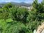 Immagine 16