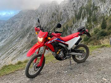 Honda crf 300 l abs