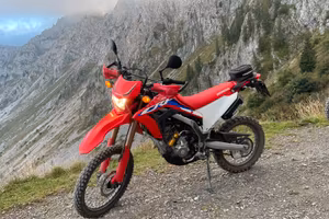 Honda crf 300 l abs