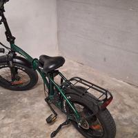 bici elettrica 