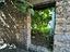 Immagine 14