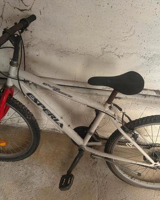 Mountain Bike Esperia 24" / 26" 