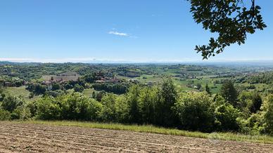 Abitazione con spazio verde