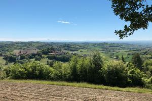 Abitazione con spazio verde
