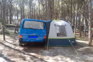VW  T4 