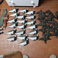 Stampi pavoncelle e storni