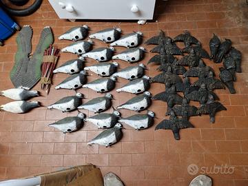 Stampi pavoncelle e storni