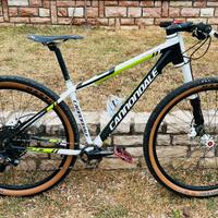 Cannondale F 29 carbon 2