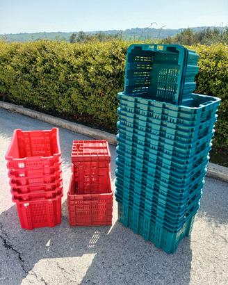 Casse raccolta Olive