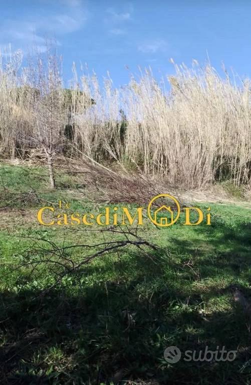 Terreno di 2074 m² a Livorno - Vista 5