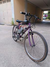 bicicletta a motore 