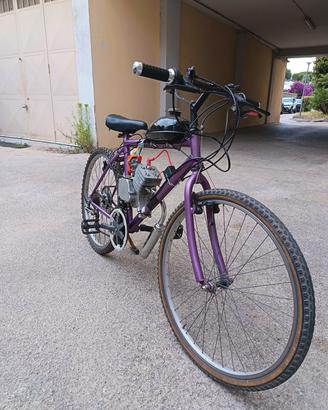 bicicletta a motore 