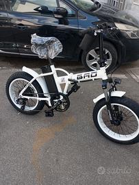 Bici elettrica 