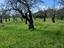 Immagine 16