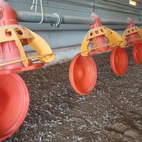 mangiatoie per avicoli