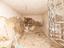 Immagine 19