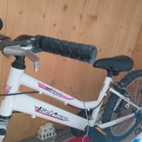 Bici raggio 24