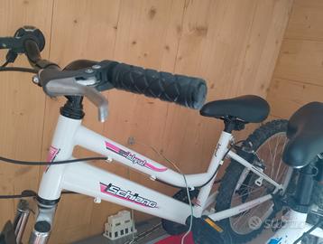 Bici raggio 24