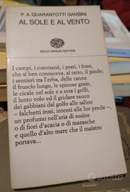 RARO Prima Edizione Al sole e al vento