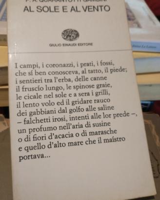 RARO Prima Edizione Al sole e al vento