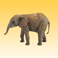 Presepe in terracotta Angela Tripi