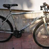 Bicicletta Frejus 