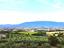 Immagine 25