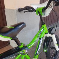 Bici Bimbo Kawasaki