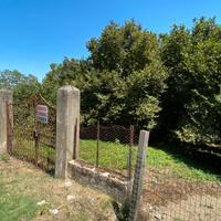 Terreno agricolo Altavilla Irpina