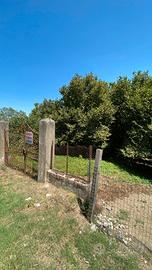 Terreno agricolo Altavilla Irpina