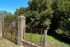 Terreno agricolo Altavilla Irpina