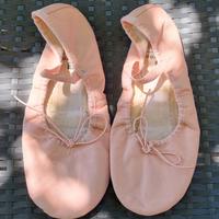 Scarpe danza classica Domyos suola intera cuoio 38