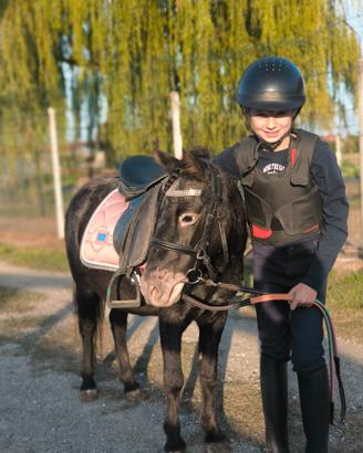 Pony