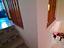 Immagine 10