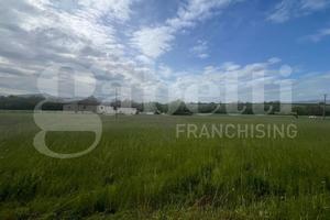 Terreno Agricolo Presenzano [Cod. rif 3311757VRG]