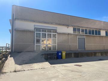 Capannone 800 mq libero luglio-set 2026