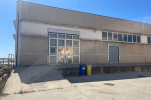 Capannone 800 mq libero luglio-set 2026