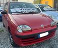 fiat-600-1-1-benzina-euro4-adatta-neopatentati-ari