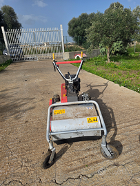 Trincia taglia erba EMAK NTS50