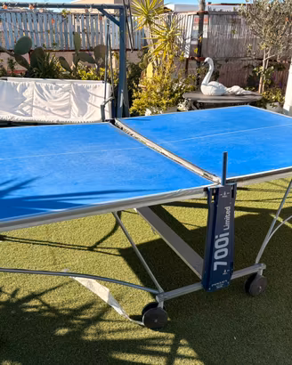 Tavolo Ping-Pong
