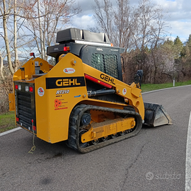 Minipala cingolata gehl rt210