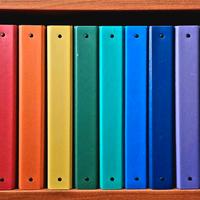 12 Raccoglitori ad anelli Favorit