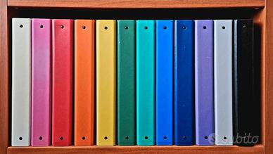 12 Raccoglitori ad anelli Favorit