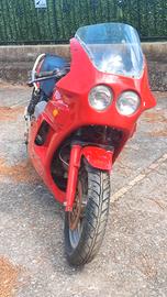 Special Guzzi elaborata Bruno Scola 