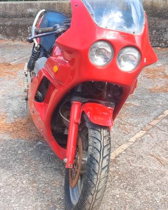 Special Guzzi elaborata Bruno Scola 