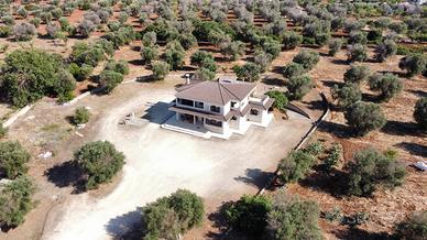 San Vito dei Normanni splendida